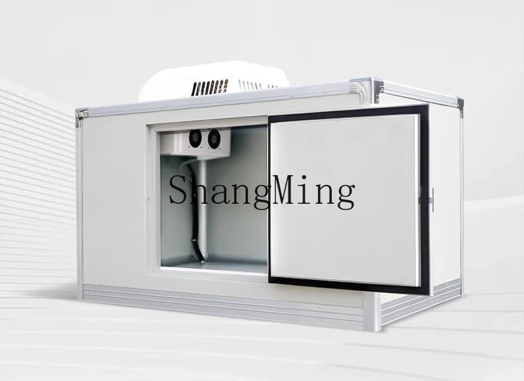 ZYY piccolo frigorifero congelatore portatile fresco congelato mobile