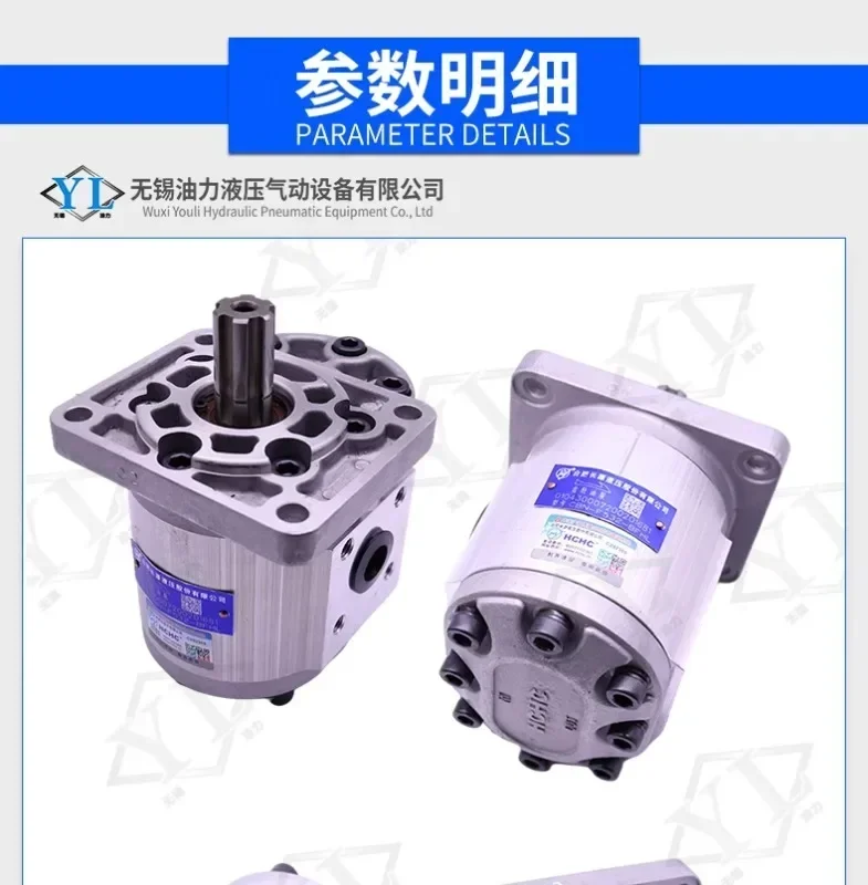 Hefei Changyuan gear oil pump CBN-F520-BFHL motor with pump sleeve coupling CBN-F63-BFP