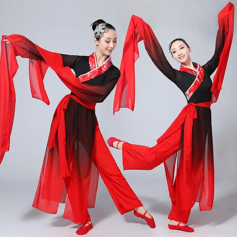 2018 The new national classical dance limp walk dance performance adult women's ink Plucking dance costumes TB18130