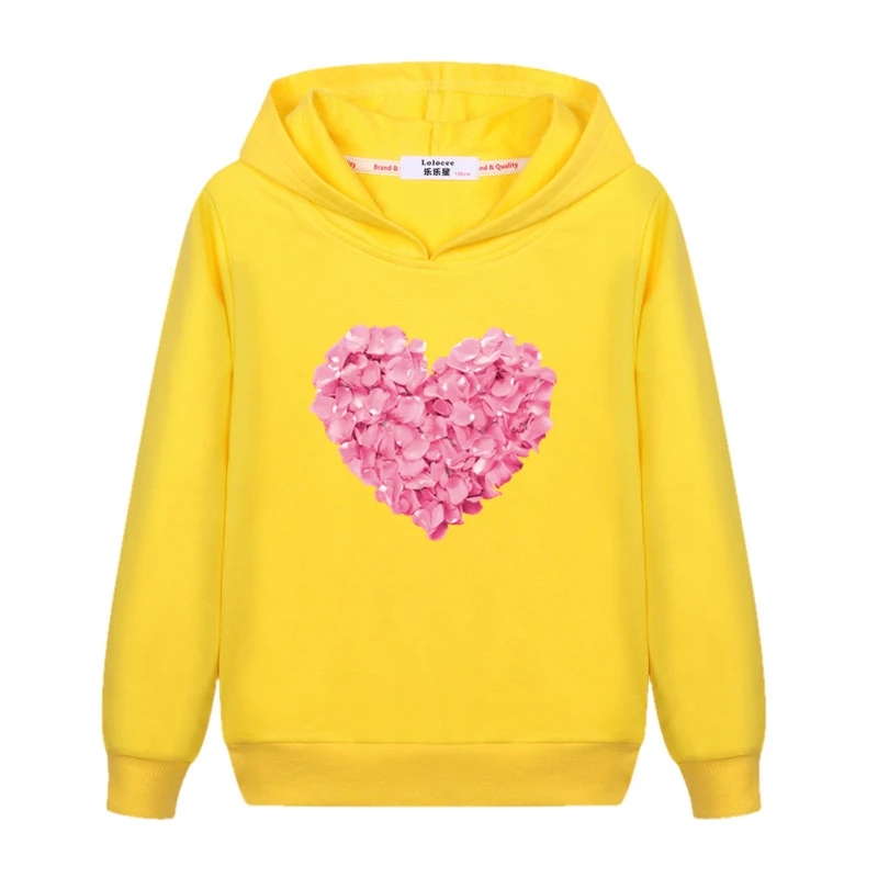 Aimi Lakana Girls Winter Wear Pullover Petal Heart Graphic Hoodie Baby Girl Cotton Sweatshirt Cartoon Costumes