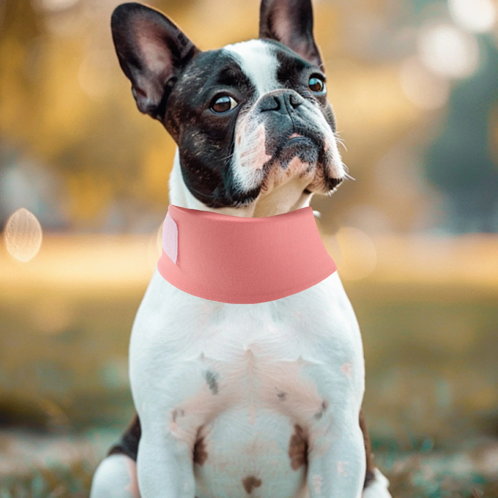 

Pet Protective Ring Adjustable 30-50cm Soft Breathable Collar Pet Safety Cone Prevent Scratching Injury Lightweight Comfortable