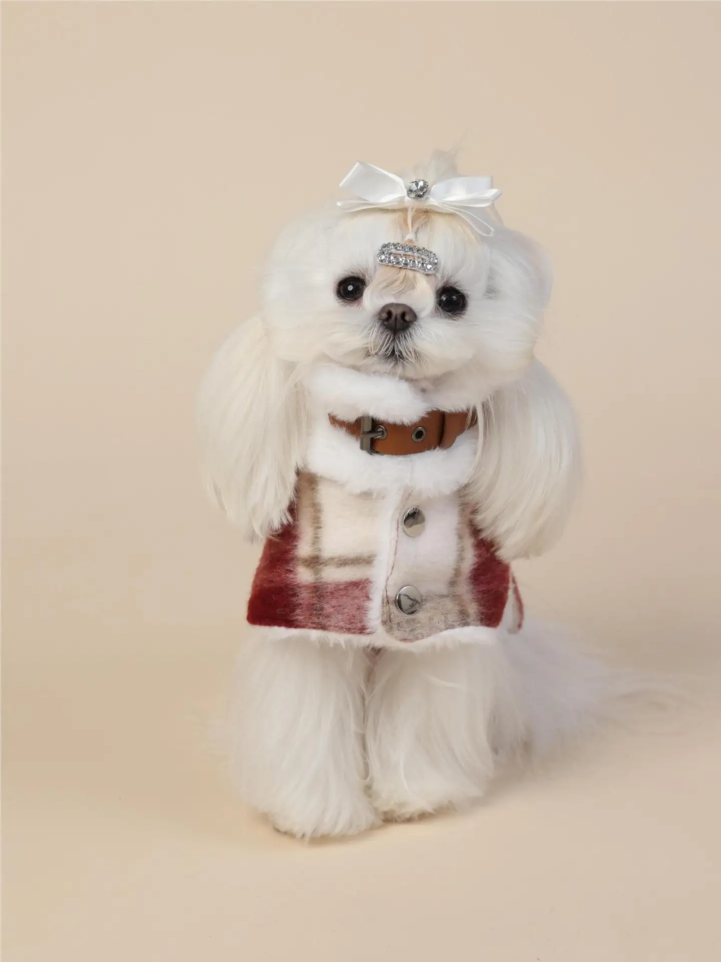 

Winter Season Christmas Dog Capes Warm And Comfortable Christmas Red Dog Coat