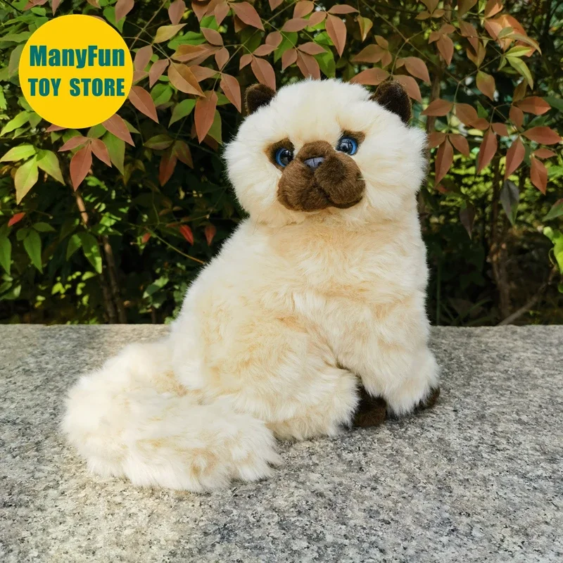 Himalayan Persian Cat Plushie Chinchilla Cat Plush Toy Lifelike Siamese Cat Stuffed Animal Simulation Doll Gift Collectors
