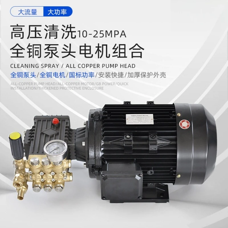 High Pressure Cleaner Direct Drive Motor Pump Assembly, Brass Pump Head Triplex Plunger Pump 220V