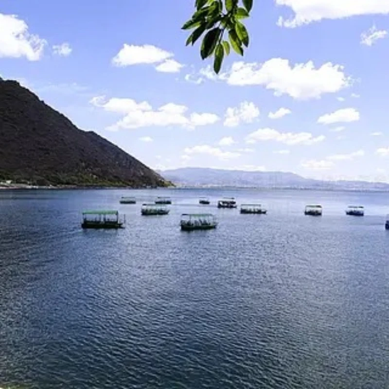 

GEPRC ELRS Nano 915M PA500 Receiver Suiable PA Chip 500mW 25Hz 200HzDIY RC FPV Quadcopter Longrange Freestyle Drone Parts