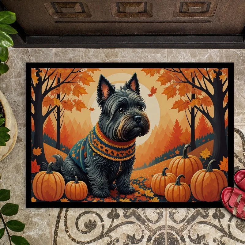 

Осенний коврик 24H 36W Нескользящий моющийся низкий ворс Крытый Открытый Прихожая Коврики для передней двери Домашние