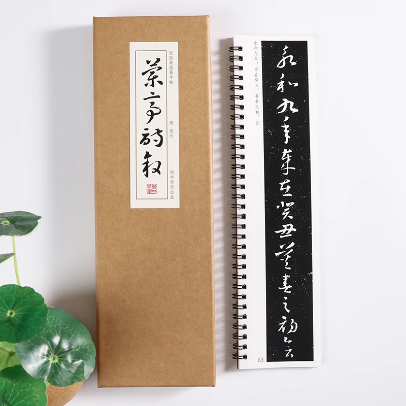 Professional Calligraphy Cursive Script Brush Complete Collection Calligraphy Stone Tablets Adult Practice Copybook Art Supplies