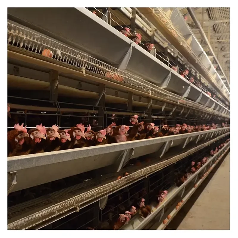 H Type Automatic Egg Poultry Farm Battery Layer Chicken Cages for Modern Design