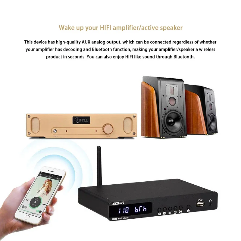 BRZHIFI U01 9038 Decoding Home Audio U Disk Digital Turntablemini Hifi Combo Dvd Player/optical/BT/mobile Phone APP Player