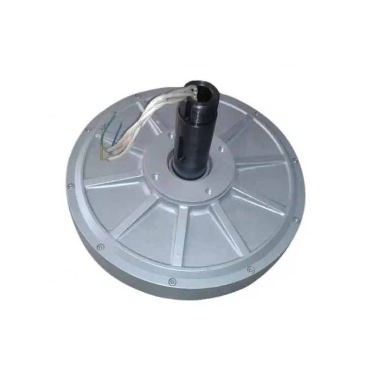 0.5kw 350rpm Low Speed Coreless Maglev Generator for Wind Turbine PMG Vertical Permanent Magnet Generator Low Rpm