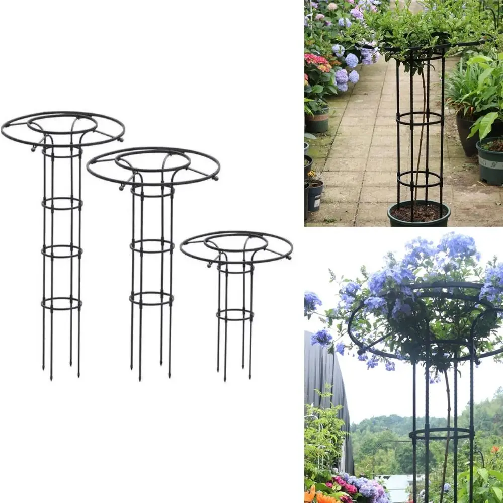 90/120/150cm Climbing Rose Arch Rustproof Sturdy Plant Frame DIY Assemble Decorative Climbing Plant Support