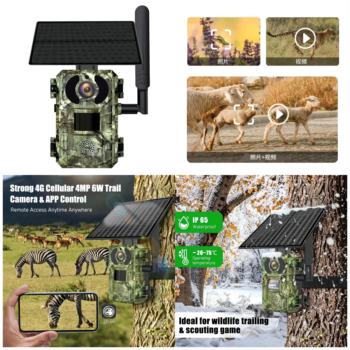 Wild Cellular 4G LTE Trail Wireless Hunting Trap Cam No Glow IR Led Wildlife Trap