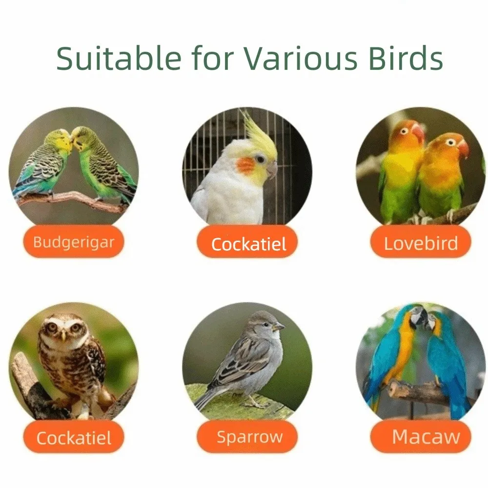 POPETPOP 2 Sets Vogelvoederbak Voor Kooi