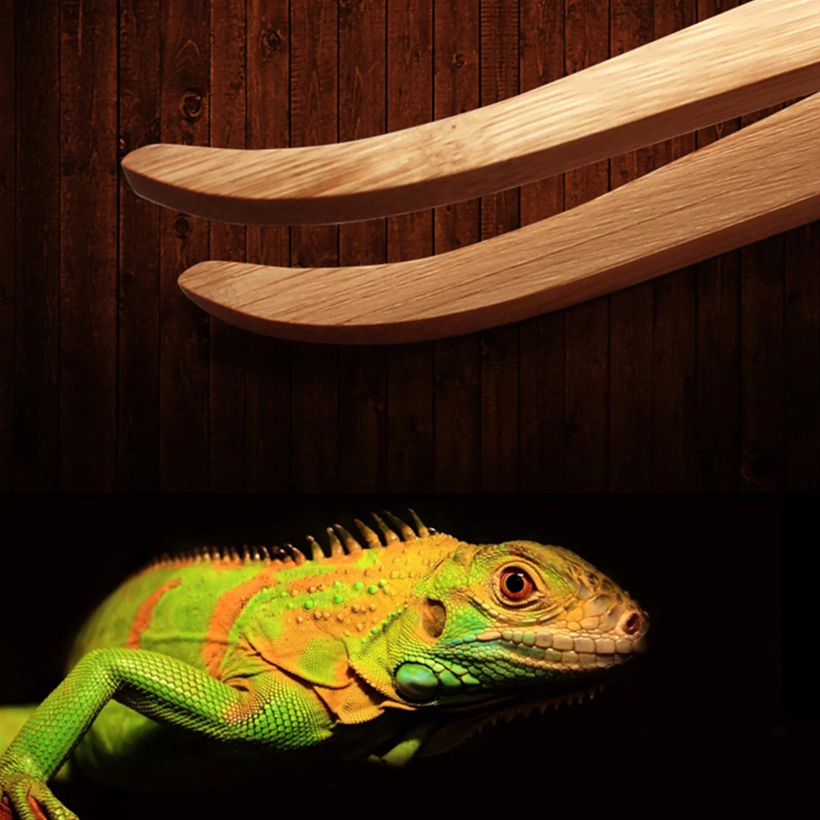 ملاقط خشب الزواحف 16.5 سنتيمتر أداة تغذية الحيوانات الأليفة المرنة للثعابين والزواحف والأطعمة المعلبة الحية