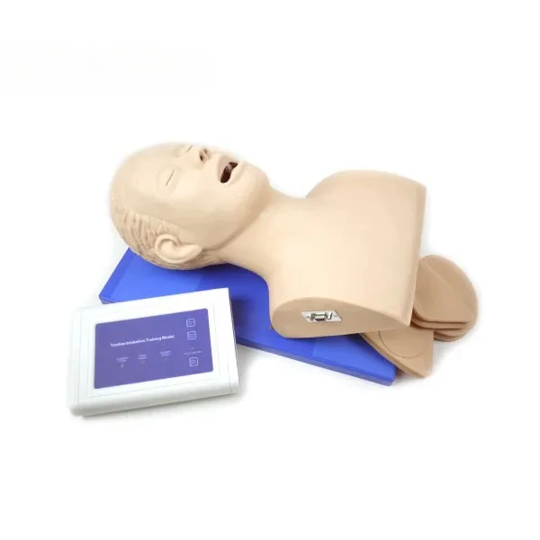 FOR Adult airway trachea intubation model, Adult airway intubation manikin