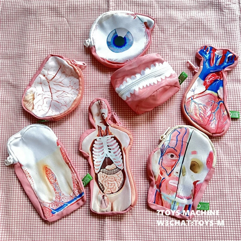 Medical Student Anatomical Coin Purse Tooth Brain Heart Eyeball Realistic Zipper Pouch For Office Desk Decor Holidays Gift