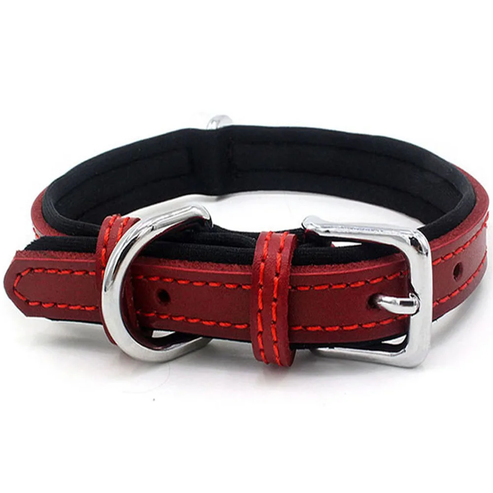 Collar para perro de neopreno acolchado con hebilla de metal_voghion.com
