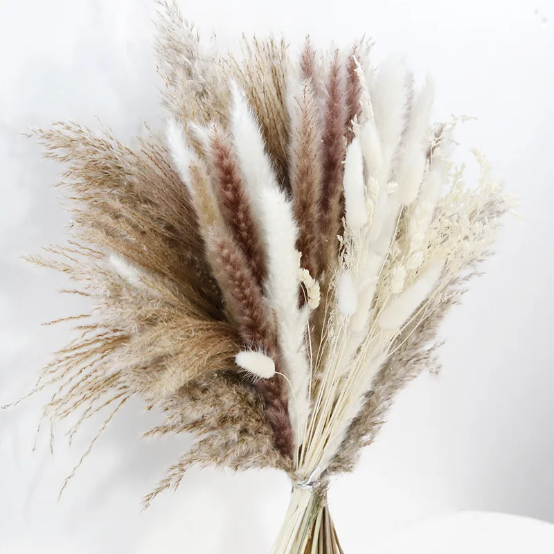 Dried Flowers Bouquet Reed Pampas Grass Wedding Decoration New Year Christmas Flores Artificial Flowers Mariage Home Decor