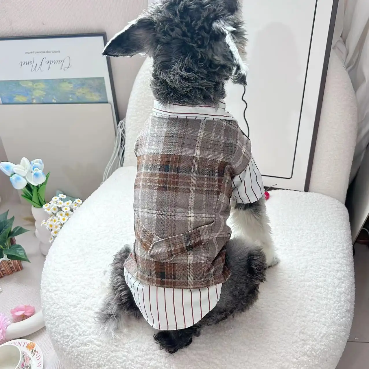 Dog Cat Teddy Dog Shirt Tank Top Two Piece Set Cat Suit Dress Pet Supplies Samoyed Dogs Clothing