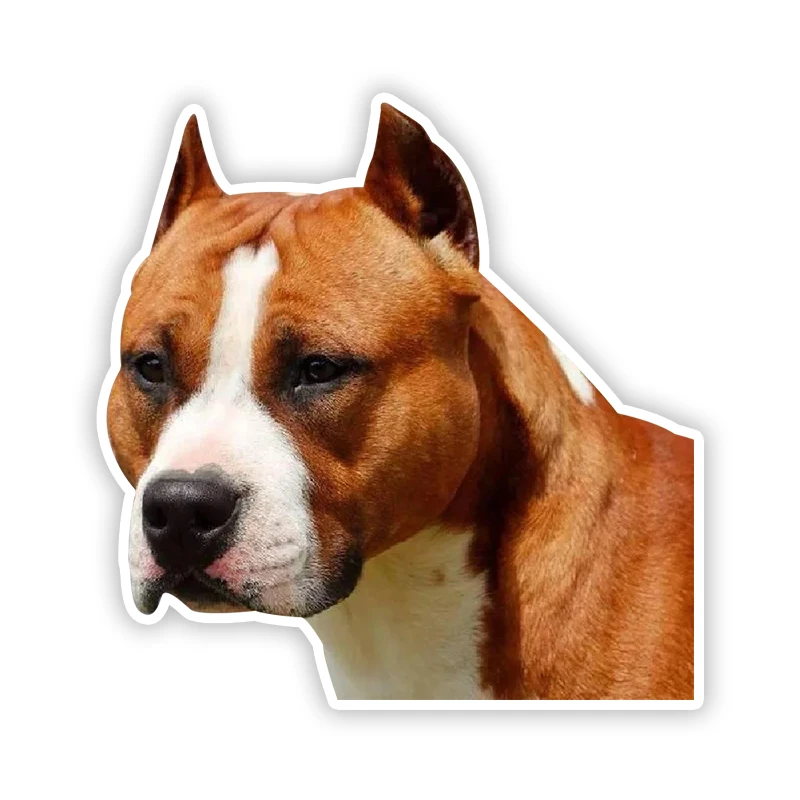 Self-adhesive Decal American Staffordshire Terrier Car Sticker Waterproof Auto Decors For Bumper Rear Window Laptop Helmet