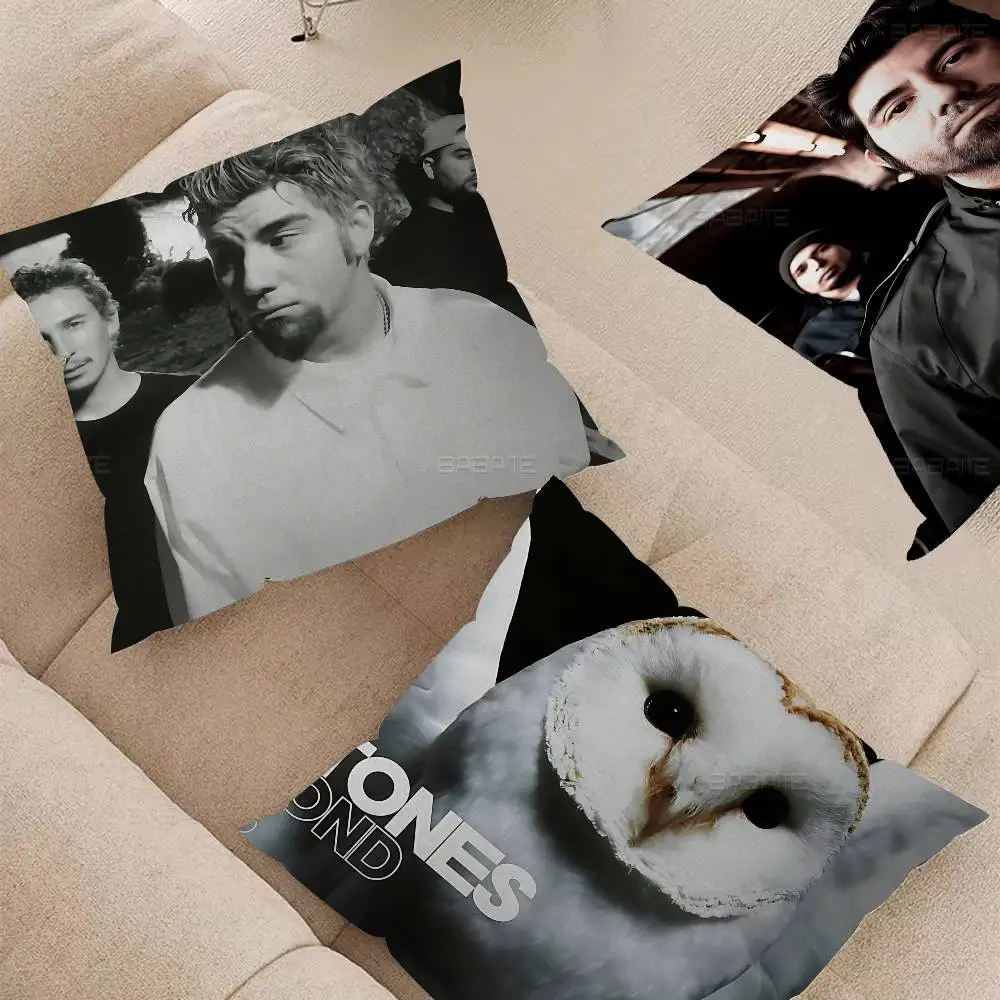 Singer Band D-Deftones Retro Pillow Anime Pillow Sofa Bed Head Pillow Cover Cushion Cover 45x45 cm Fashion