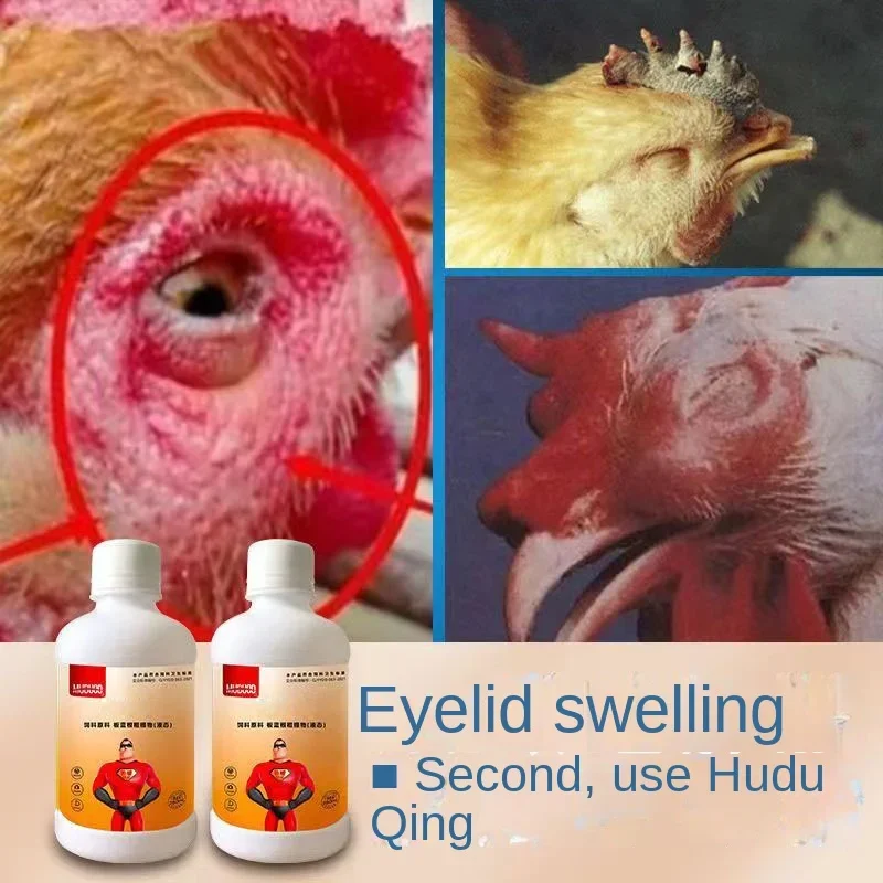 Chickens, ducks,  pigeons, snoring and coughing, snoring, opening mouth and neck extension, swollen eyelids, and tearing 250ml