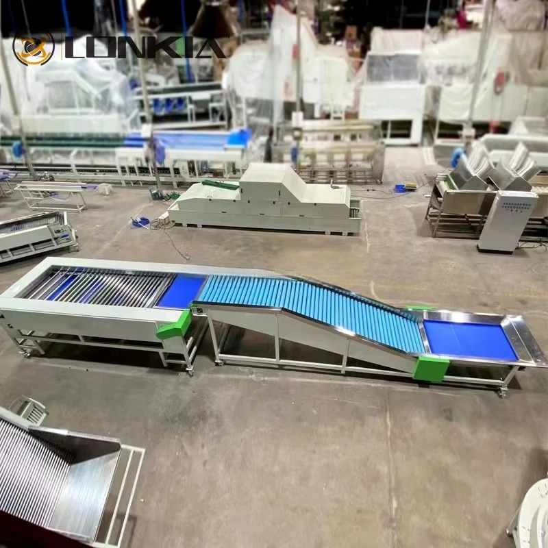 Picture 4: High-Speed Automatic Fruit Vegetable Sorting Equipment Size Grading Machine for Mango Other Vegetables Enhanced Efficiency