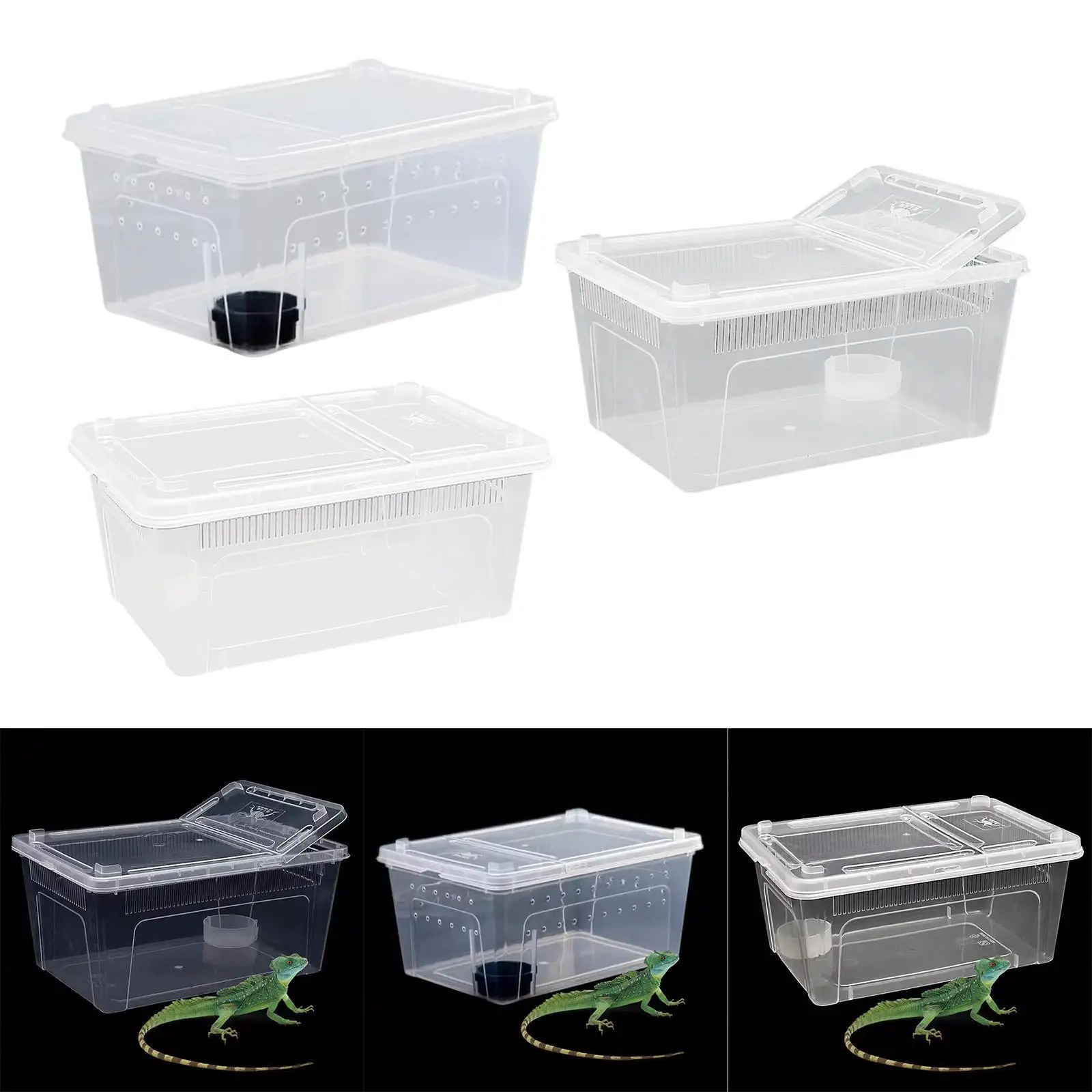 Reptile Feeding Box…