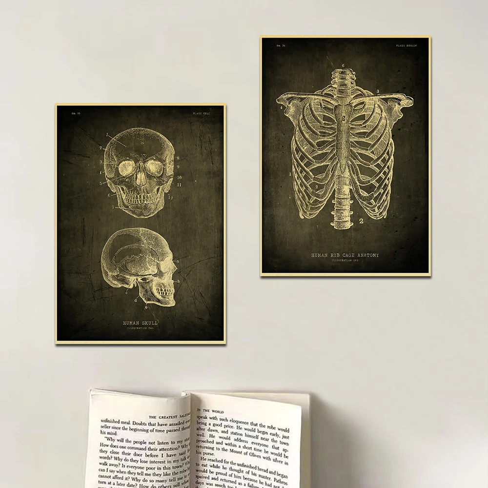 Anatomy Skeleton Education Poster Wall Chart Prints Posters Home Living Bed Room Decor Bar Cafe Pictures Frameless Wall Painting