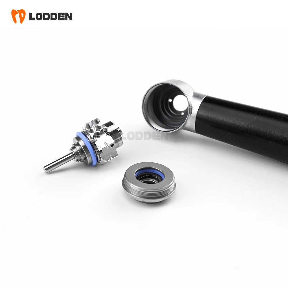 LODDEN Kit manipolo dentale ad alta velocità 2/4 fori Punte per odontoiatria Turbina ad aria Penne ad alta rotazione per dentisti Attrezzature Strumenti