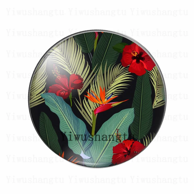 Beauty amaryllis flower colourful blooming  12mm/20mm/25mm/30mm photo glass cabochon demo flat back Making findings