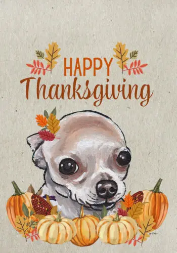 Chihuahua Tan Hippie Hound Studios Happy Thanksgiving Flag