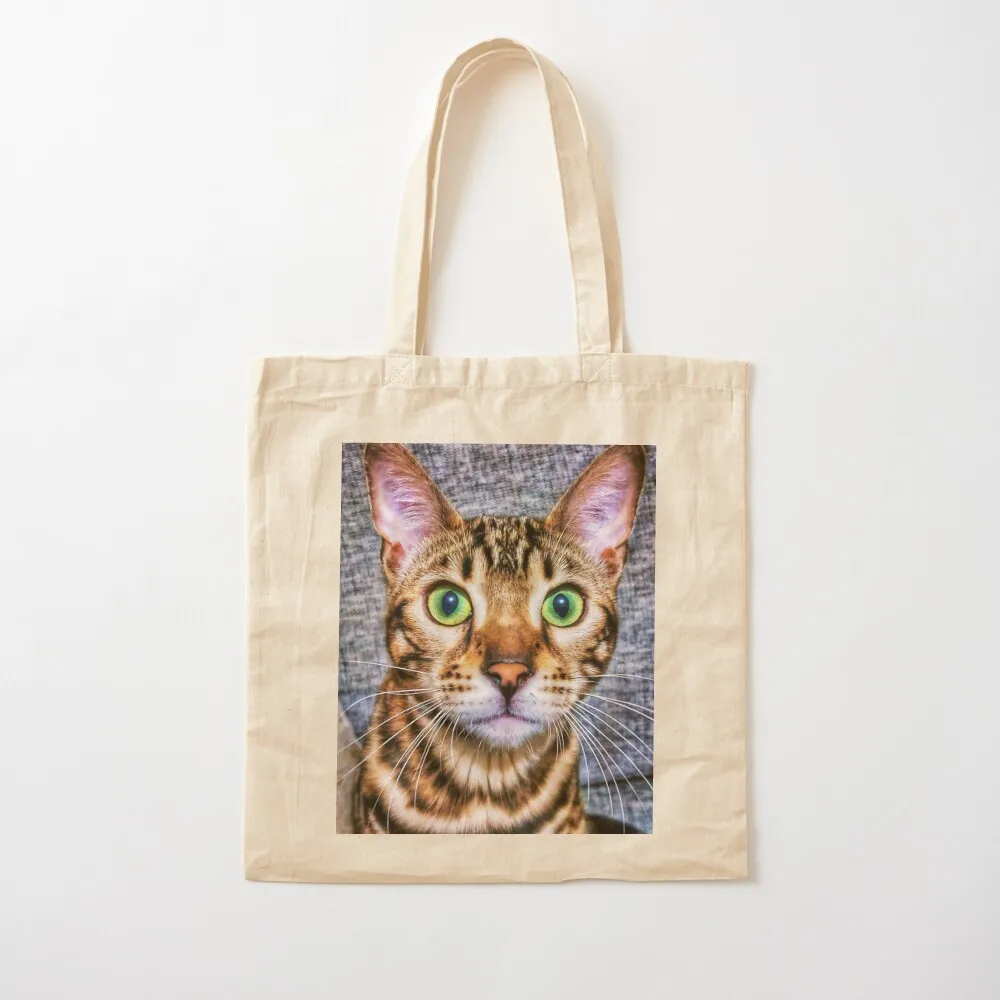 

Nala Tote Bag canvas shopping bag cloth bag woman