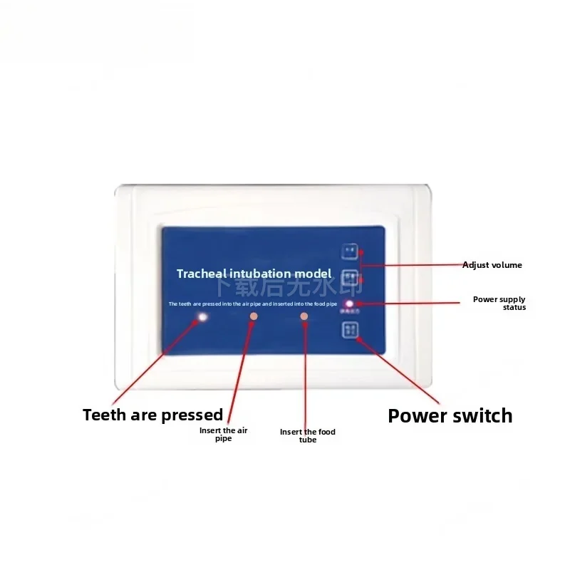 Adult Tracheal Intubation Model Nasopharyngeal Airway Manikin for Emergency Medical Training Teaching Tool