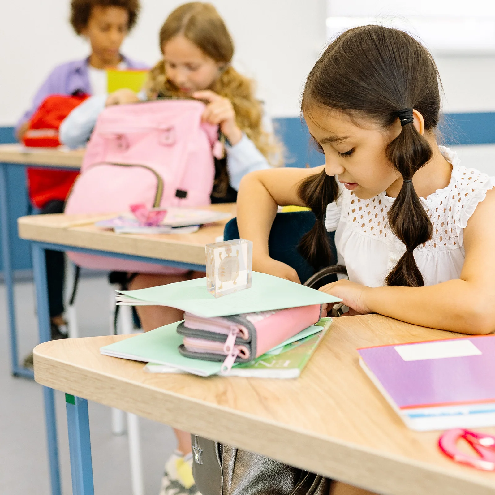 Reali ricordi scheletrici della tartaruga brasiliana per la esposizione del museo di ricerca del laboratorio scolastico Sussidio didattico biologico Storia naturale