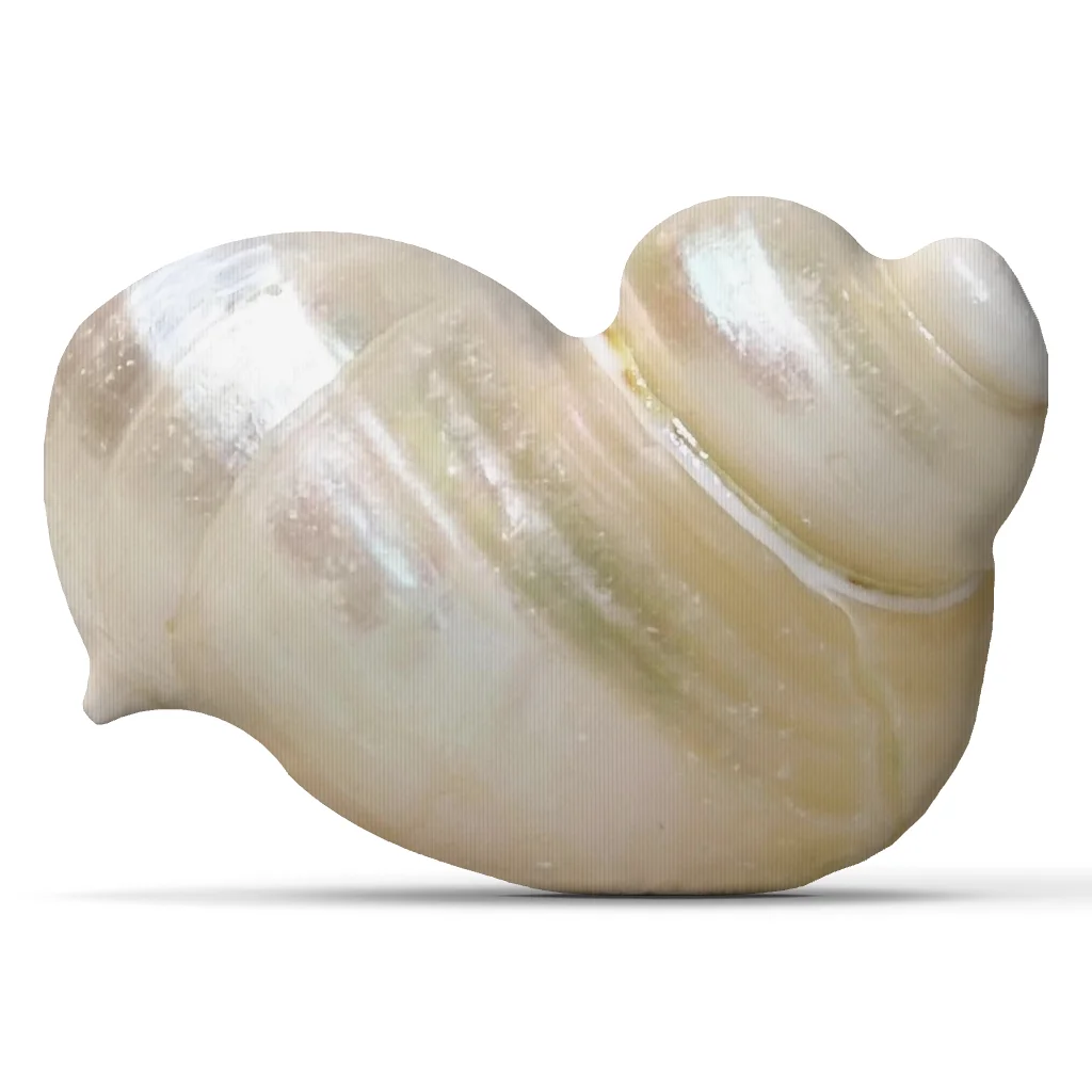Pearly sea shell Plush Pillow Cushion Irregular Stuffed Throw Pillow Home Decor Gift Sofa Bed Couch