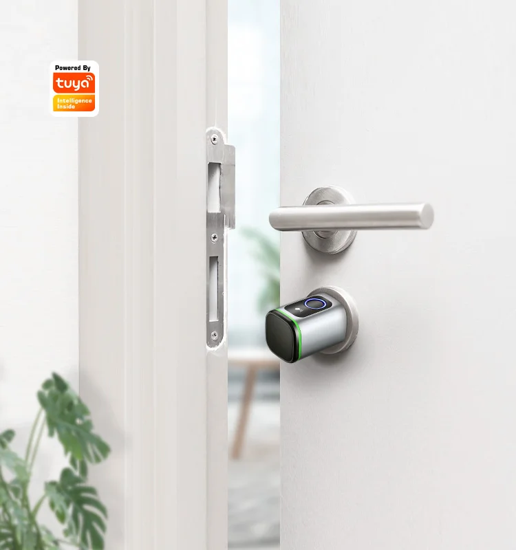 Tropernic High Quality Smart life APP Alexa Remote Control cylinder lock Smart Lock Door