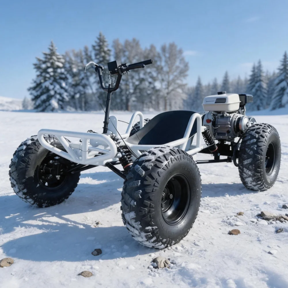 212cc 4 Stroke Powered Off Road Go Kart Adult Heavy Load Grass Sand Beach High Speed Buggy
