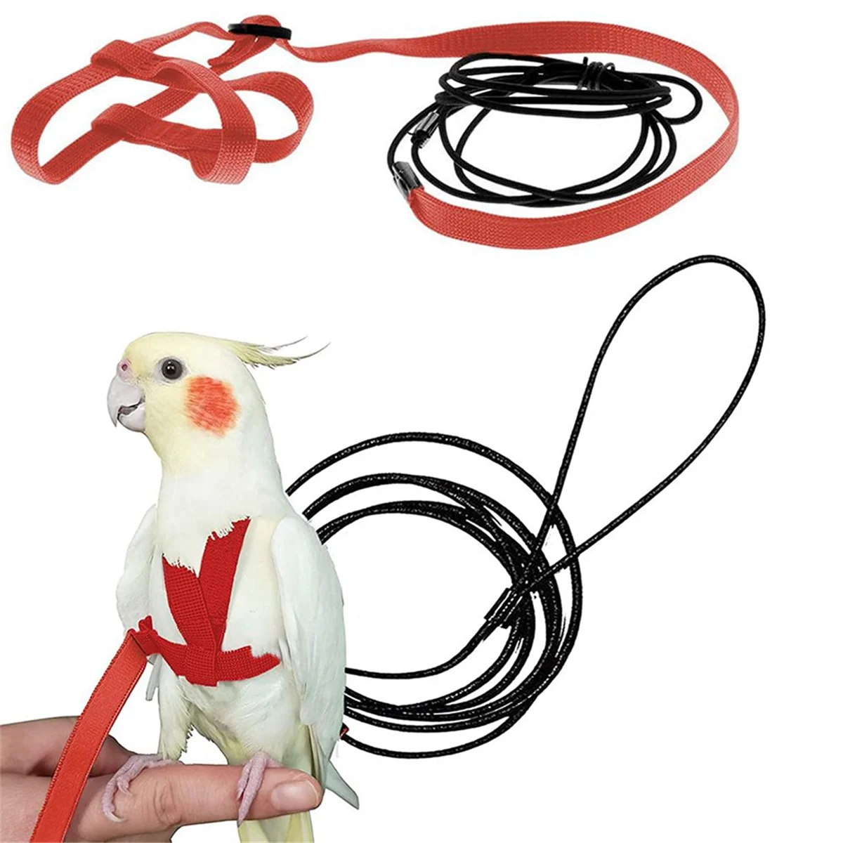 Parrot Bird Harness Leash Outdoor Flying Traction Straps Band Adjustable Anti-Bite Training Rope,Red M