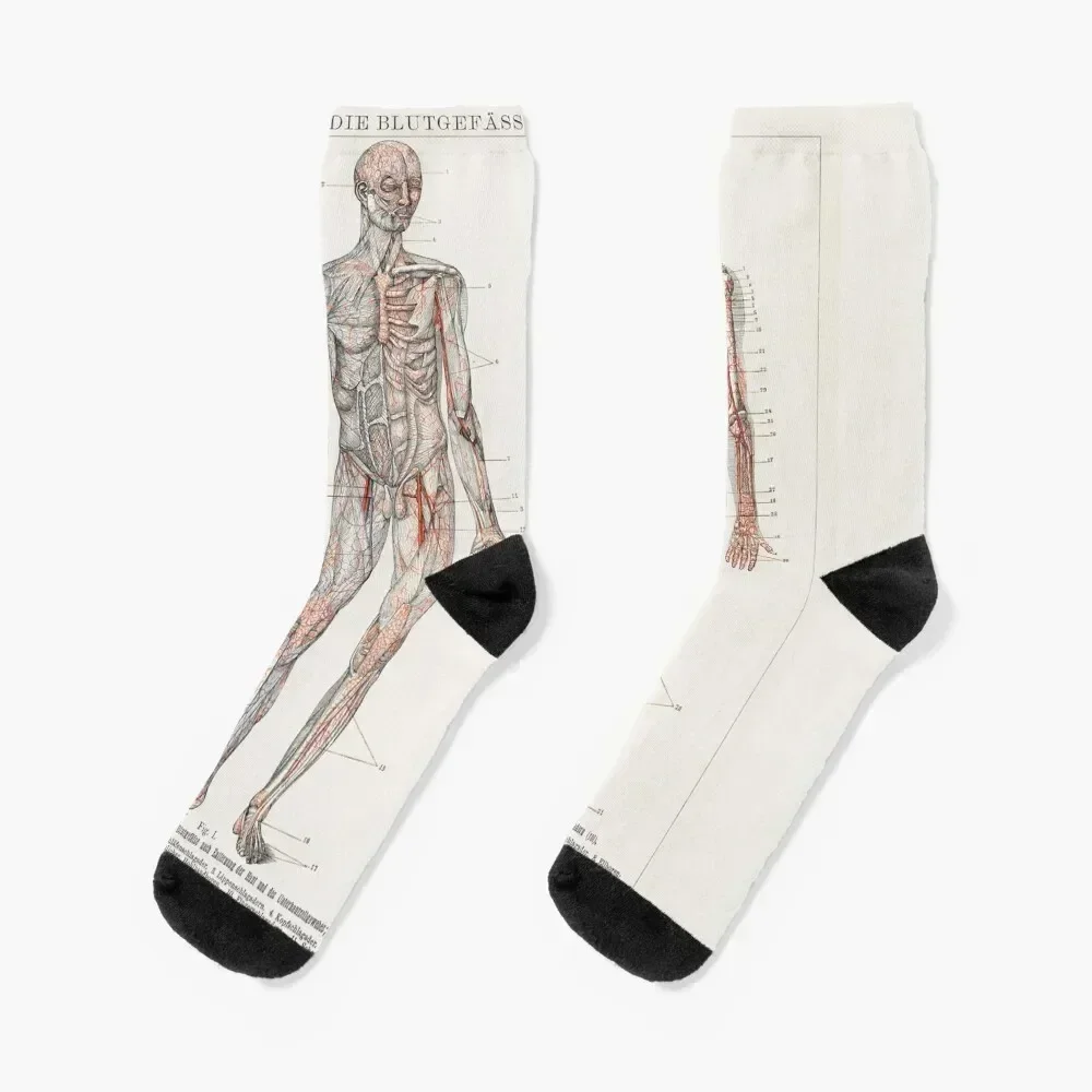 

Casual look Socks hiking man moving stockings custom Socks For Men Women's