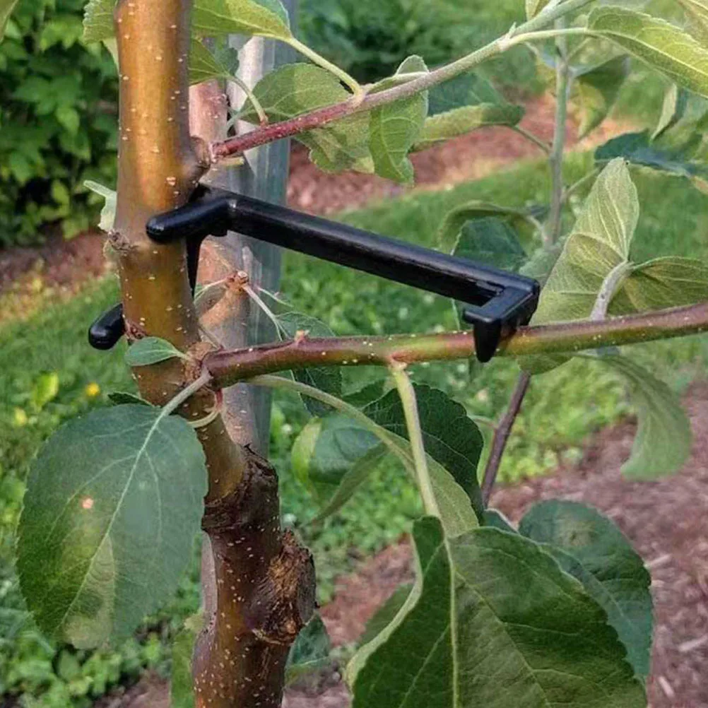 

20pcs Black Small Body Fruit Tree Branch Spreaders Limb Support Trainer Clips for Trees Plants Gardening Accessories