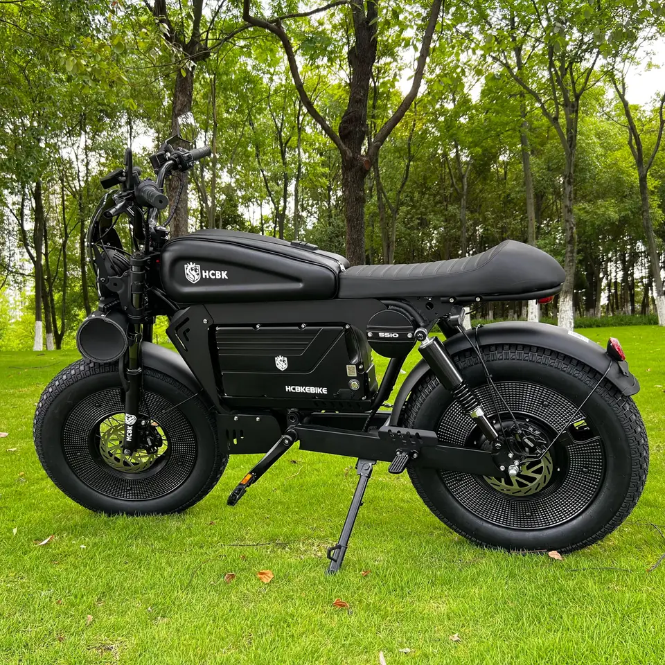 Black Warrior Electric Bike 60V Lithium Battery High Quality Mountain E-bike image 5