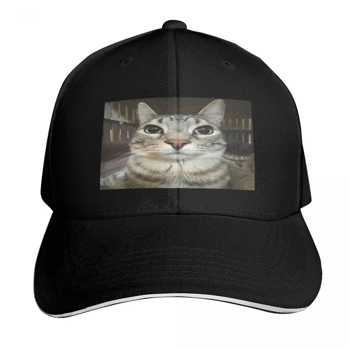 Cat looking directly at you Baseball Cap Moisture Wicking Quick Dry Curved Brim Classic Fit Low Profile Unstructured