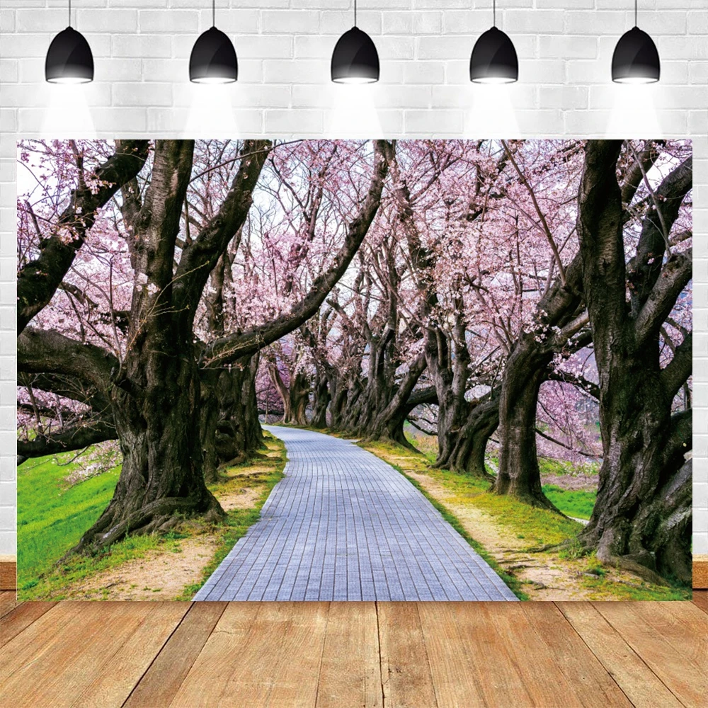 ฉากหลังภาพทิวทัศน์ธรรมชาติญี่ปุ่นฤดูใบไม้ผลิฉากหลังดอกซากุระภูเขาทิวทัศน์ป่าฉากเด็กผู้ใหญ่ภาพพื้นหลัง