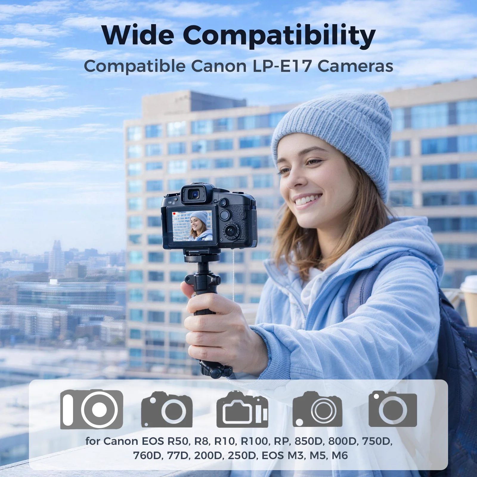 BTECH LP-E17 2 Stück 1100mAh A – Canon Camera Eos R8 Bewertung und Preis