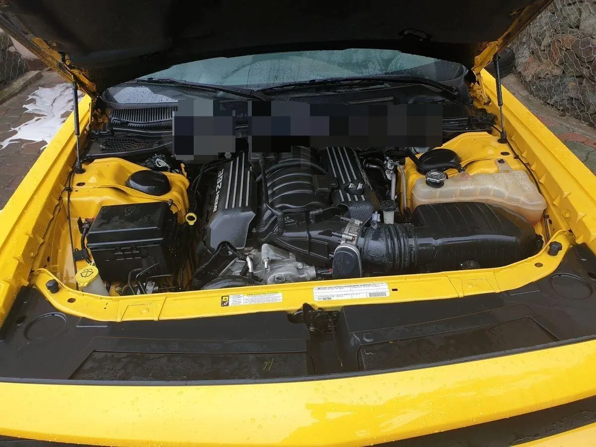 

314MM 2PCS Hood Damper Replace For Dodge SRT Challenger Coupe 2007–2022 2023 Front Bonnet Gas Struts Lift Support Shock Piston