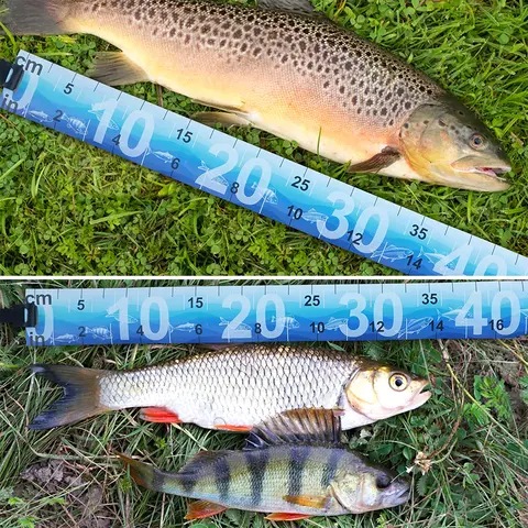 1 st 90 cm/35 tum vattentät fiskmåttlinjal hopfällbar fiskemåttbandsklistermärke fisketillbehör redskapsverktyg 6 best sales fiskelinjal - №5