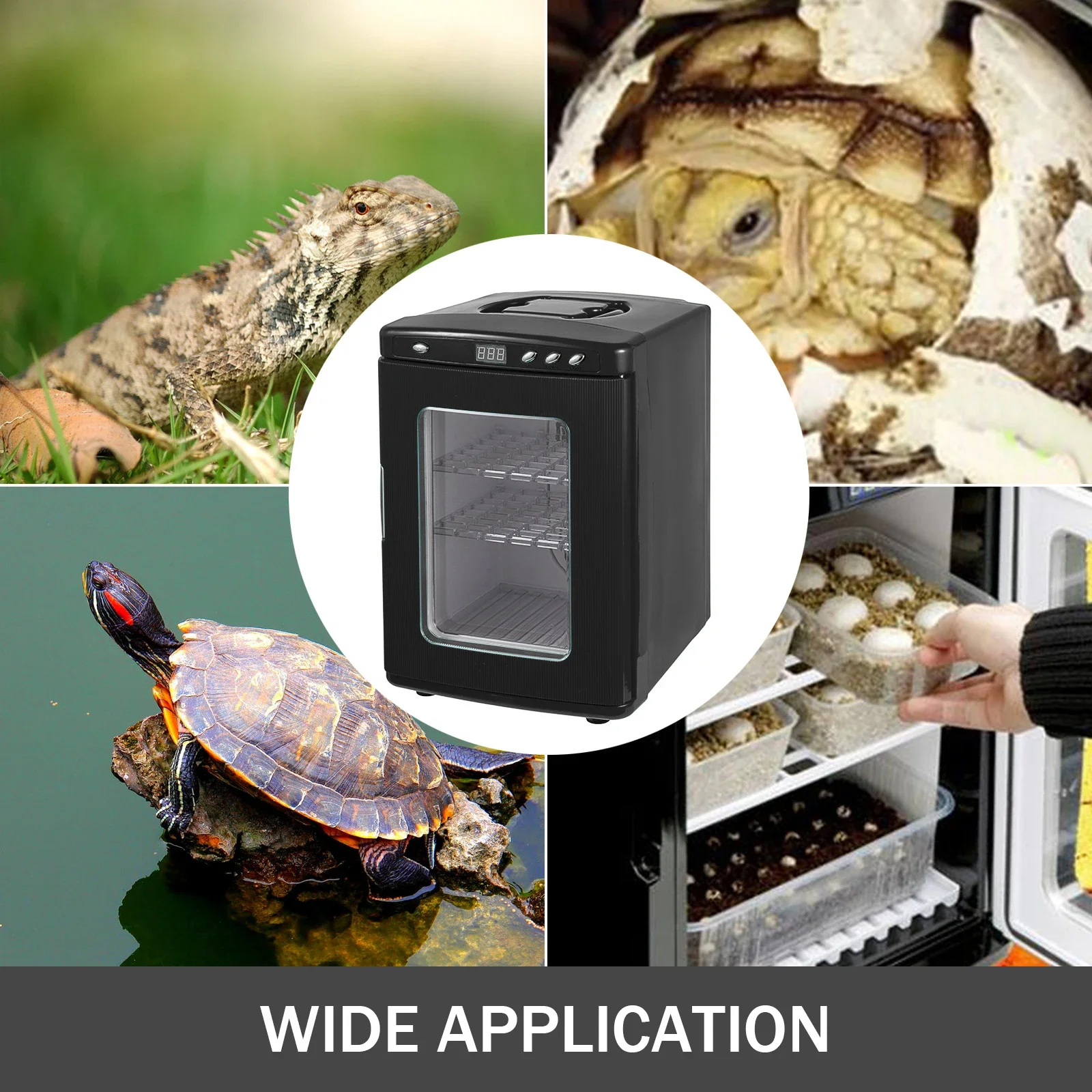 25 L Reptile Digital Scientific L Cooling and Heating 2°C - 60°C 12 V/ Work for Small Reptiles