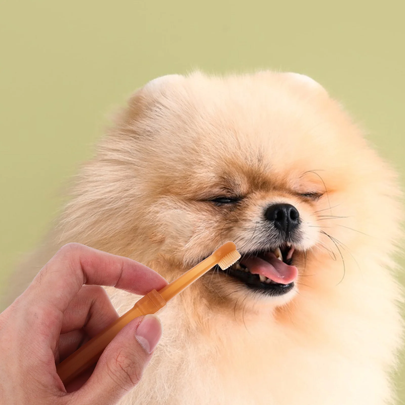 

Dogs Tooth Brush Toothbrush Cleaner Silicone Cat Brushing Kit Oral Cleaning Doggy