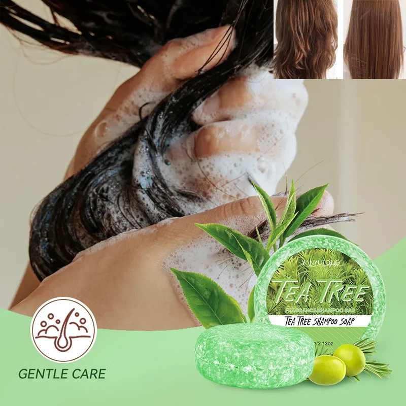 Barra de Champú Natural con Aceite de Coco y Aceite Esencial de Árbol de Té, Jabón Artesanal Hidratante para la Raíz del Cabello, Jabón Acondicionador de Limpieza a Base de Plantas